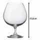 Taça AVULSA 690ml Para Conhaque Gastro Em Cristal Ecologico 15cm